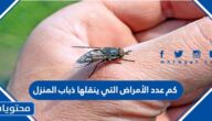 كم عدد الأمراض التي ينقلها ذباب المنزل
