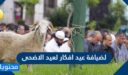 لضيافة عيد افكار لعيد الاضحى جديدة ومميزة 2026