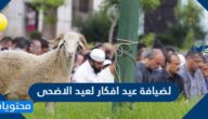 لضيافة عيد افكار لعيد الاضحى جديدة ومميزة 2025