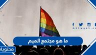ما هو مجتمع الميم