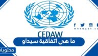 ما هي اتفاقية سيداو