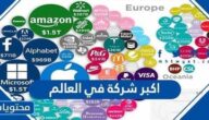 ما هي اكبر شركة في العالم