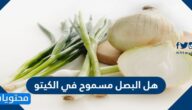 هل البصل مسموح في الكيتو