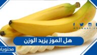 هل الموز يزيد الوزن ام ينقصه؟
