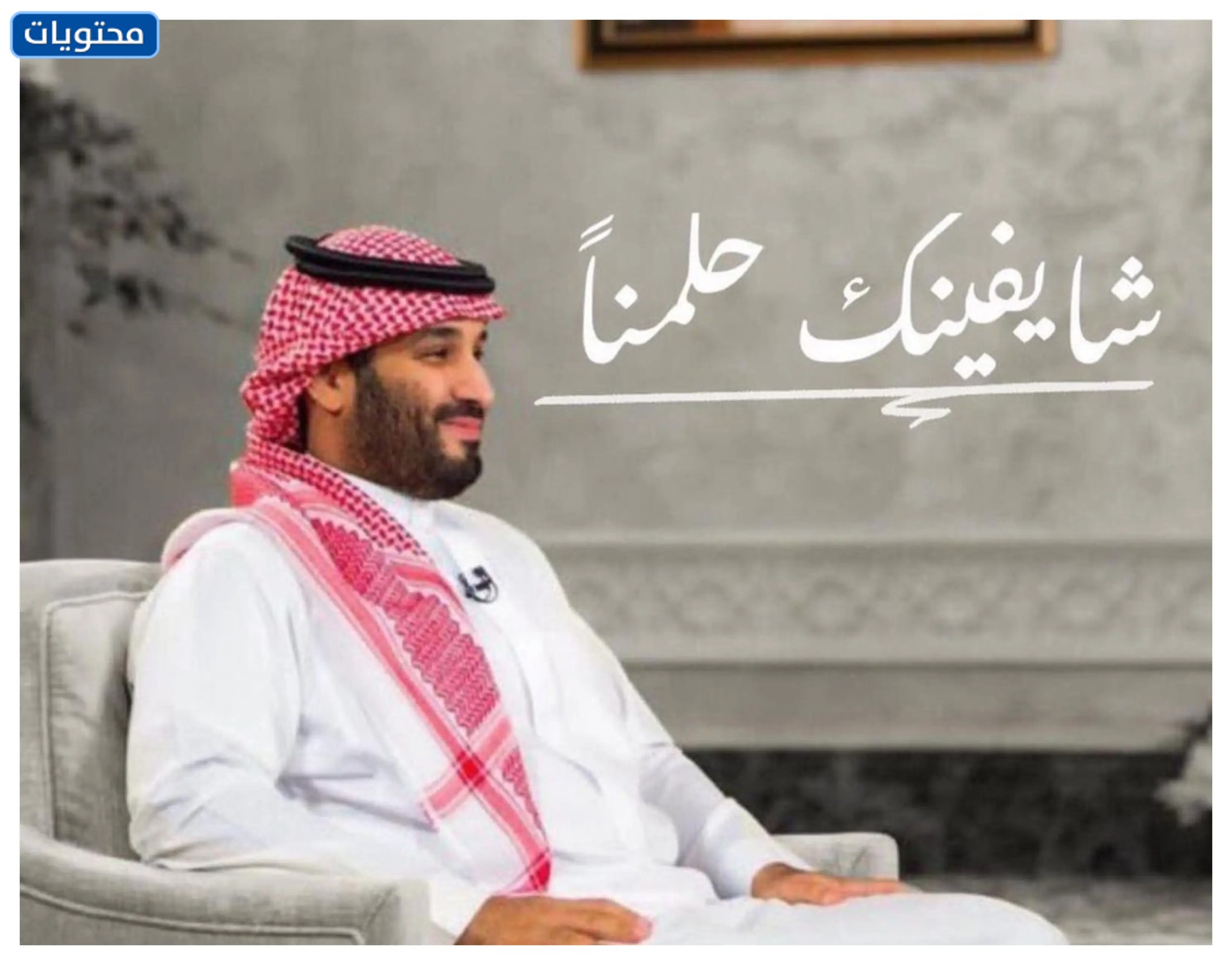 تهنئة رسمية لولي العهد محمد بن سلمان بعيد ميلاده بالصور 