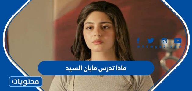 ماذا تدرس مايان السيد