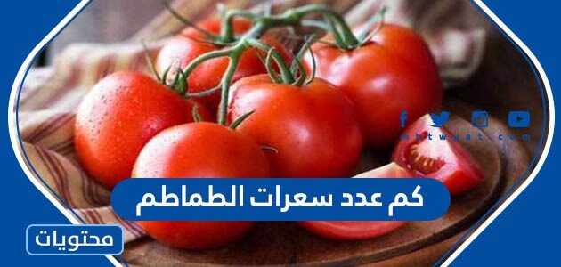 كم عدد سعرات الطماطم وهل تزيد الوزن