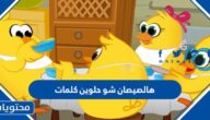 هالصيصان شو حلوين كلمات