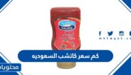 كم سعر كاتشب السعوديه