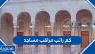 كم راتب مراقب مساجد في السعودية 1447