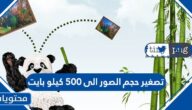 تصغير حجم الصور الى 500 كيلو بايت