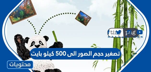 تصغير حجم الصور الى 500 كيلو بايت