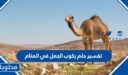 تفسير حلم ركوب الجمل في المنام لابن سيرين والنابلسي وابن شاهين