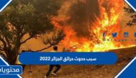 سبب حدوث حرائق الجزائر 2022
