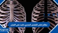 عظام اعلى القفص الصدري ذكرت في القران