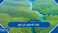 غابات الامازون اين تقع