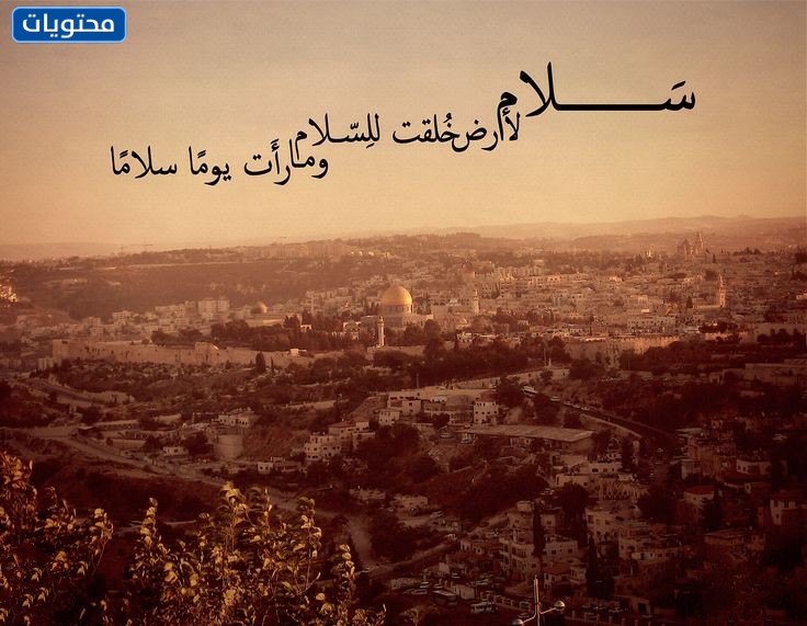 عبارات عن القدس وفلسطين بالصور 