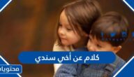كلام عن أخي سندي