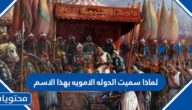 لماذا سميت الدوله الامويه بهذا الاسم