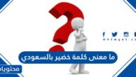 ما معنى كلمة خضير بالسعودي