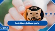 ما هو مستقبل عملة شيبا