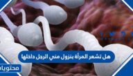 هل تشعر المرأة بنزول مني الرجل داخلها