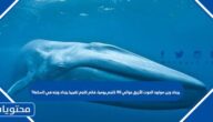 يزداد وزن مولود الحوت الأزرق حوالي ٩٠ كلجم يوميا، فكم كلجم تقريبا يزداد وزنه في الساعة؟