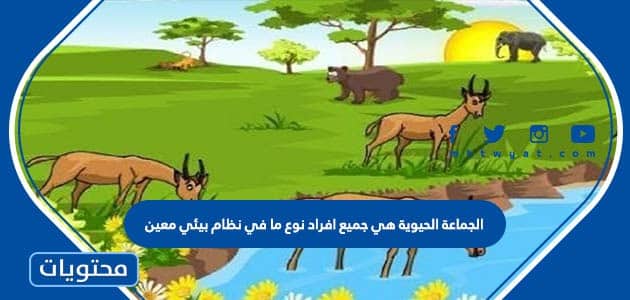 الجماعة الحيوية هي جميع افراد نوع ما في نظام بيئي معين - موقع محتويات