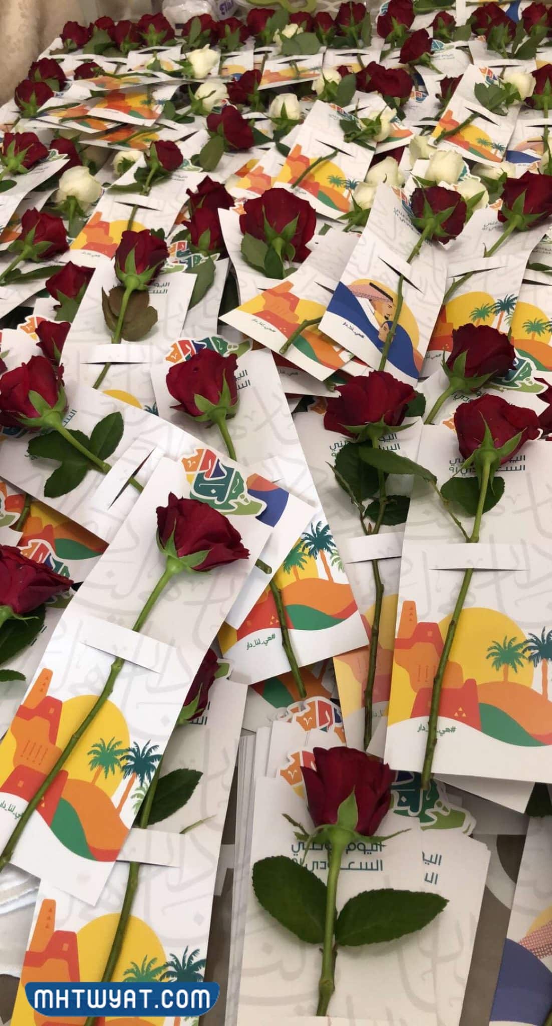 توزيعات ورد اليوم الوطني