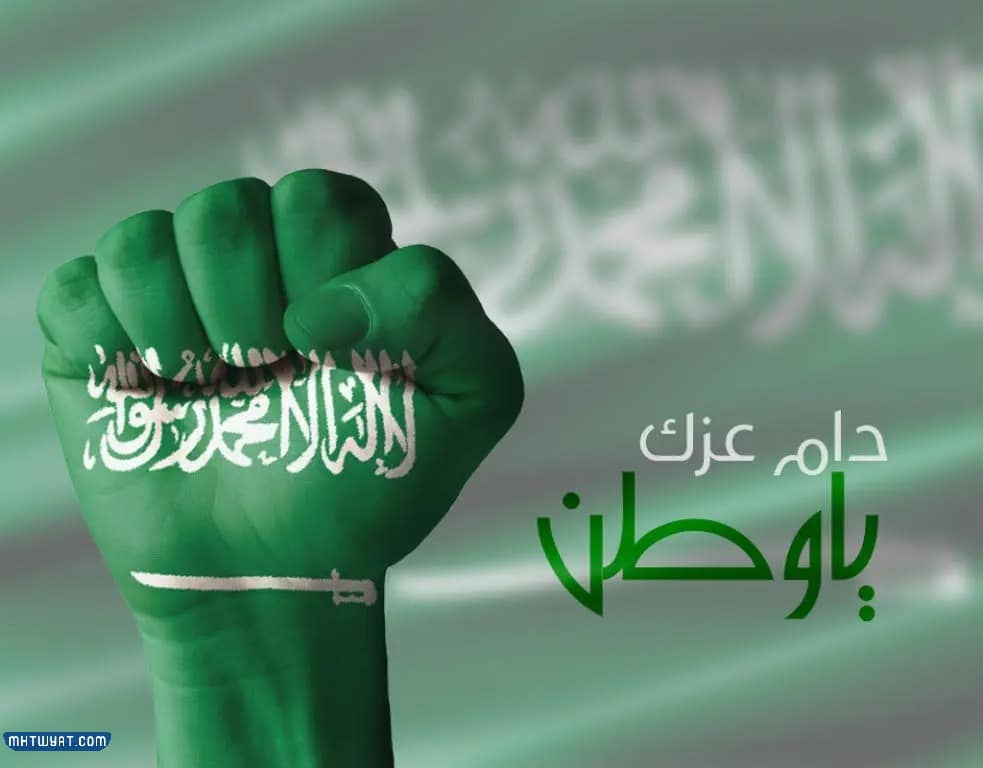 تصميم اليوم الوطني 92 بدون حقوق