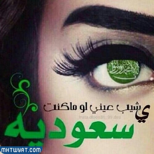 صور عدسات اليوم الوطني 92