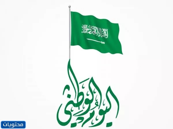 صور اعلام اليوم الوطني السعودي 92