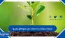 عمليه الاستجابه تساعد النباتات على صنع غذائها بنفسها