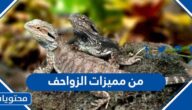 من مميزات الزواحف