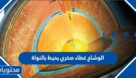 الوشاح غطاء صخري يحيط بالنواة