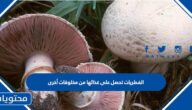 الفطريات تحصل على غذائها من مخلوقات أخرى