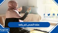 صلاة الضحى كم ركعه