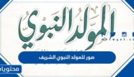 صور للمولد النبوي الشريف .. أجمل العبارات والكلمات للتهنئة بمولد الرسول