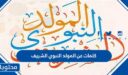 كلمات عن المولد النبوي الشريف 2026