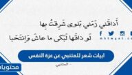 ابيات شعر للمتنبي عن عزة النفس