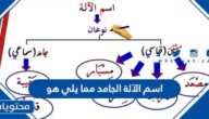 اسم الآلة الجامد مما يلي هو