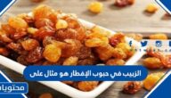 الزبيب في حبوب الإفطار هو مثال على
