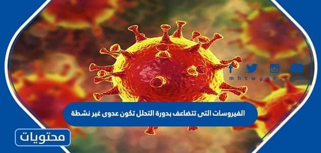 الفيروسات التي تتضاعف بدورة التحلل تكون عدوى غير نشطة