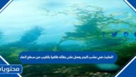 المثبت في عشب البحر يعمل على بقائه طافيا بالقرب من سطح الماء