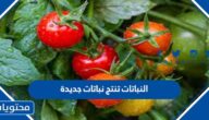 حل درس النباتات تنتج نباتات جديدة علوم ثاني ابتدائي