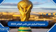 مجموعة البرازيل في كاس العالم 2022
