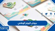 تصاميم بروش اليوم الوطني السعودي 95