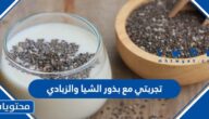 تجربتي مع بذور الشيا والزبادي