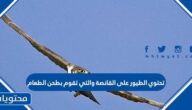 تحتوي الطيور على القانصة والتي تقوم بطحن الطعام