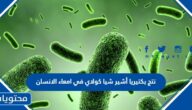 تنتج بكتيريا أشير شيا كولاي في امعاء الانسان